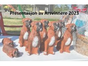Norsk Boxerklubb Årsvinner 11.06.2023 - Presentasjon av vinnere 