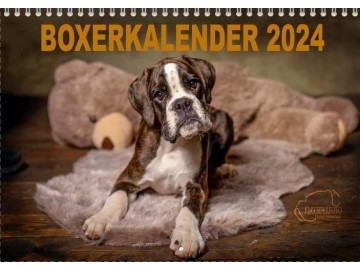 Boxerkalender 2024 er åpen for forhåndsbestilling