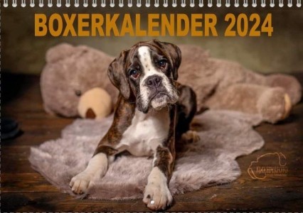 Boxerkalender 2024