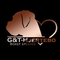 G & T-Hjertebo logo