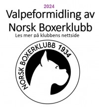 valpeformidling logo 2024