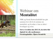 Webinar/Foredrag om mentalitet med Bjørn Strandvik 28/2-2024
