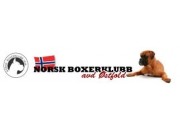 Norsk Boxerklubb avd. Østfold sin spesialutstilling 10.06.2023 - Presentasjon av vinnere
