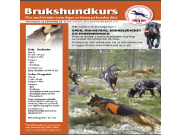 Norsk Brukshundsports Forbund har 3 ledige plasser på  Evjekurset, 24. – 28. juni.   