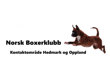Dobbel spesialutstilling inkl. ekstra valpeshow (mange raser)i LOM NBK Hedmark/Oppland 11. og 12. mai 2024