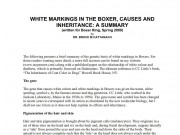 WHITE MARKINGS IN THE BOXER, CAUSES AND INHERITANCE: A SUMMARY by DR. BRUCE M CATTANACH - 2009