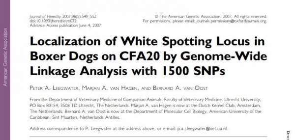 Localization of White Spotting Locus in Boxer Dogs