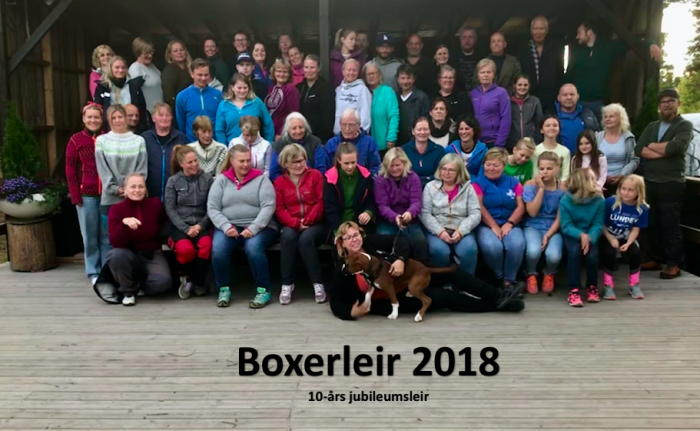 2018 Boxerleir
