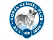 NKK Sandefjord 26.11.2022-  NM i Juniorhandling med Boxer som ukjent/hemmelig Rase 