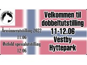 Velkommen til dobbeltutstilling 11.-12. juni  2022 på Vestby Hyttepark  