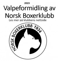 2023 valpeformidling logo