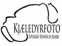kjæledyrfoto-logo